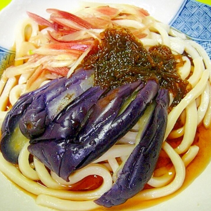 ヘルシー☆蒸し茄子と茗荷もずくの冷やしうどん